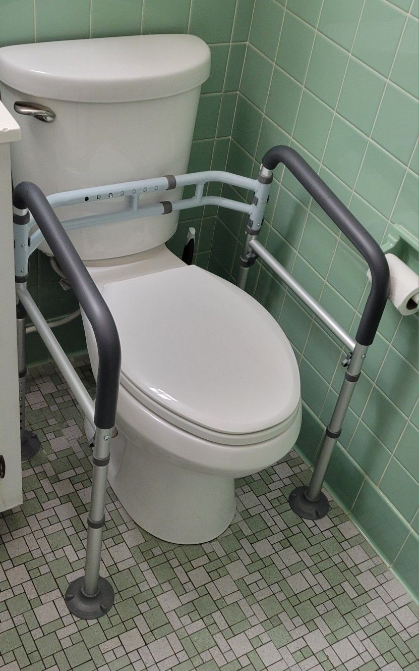 Toilet Stand Assist
