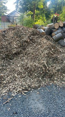 Maple Wood Chip For Garden For Truck Load