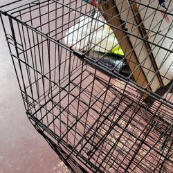 Dog Crate