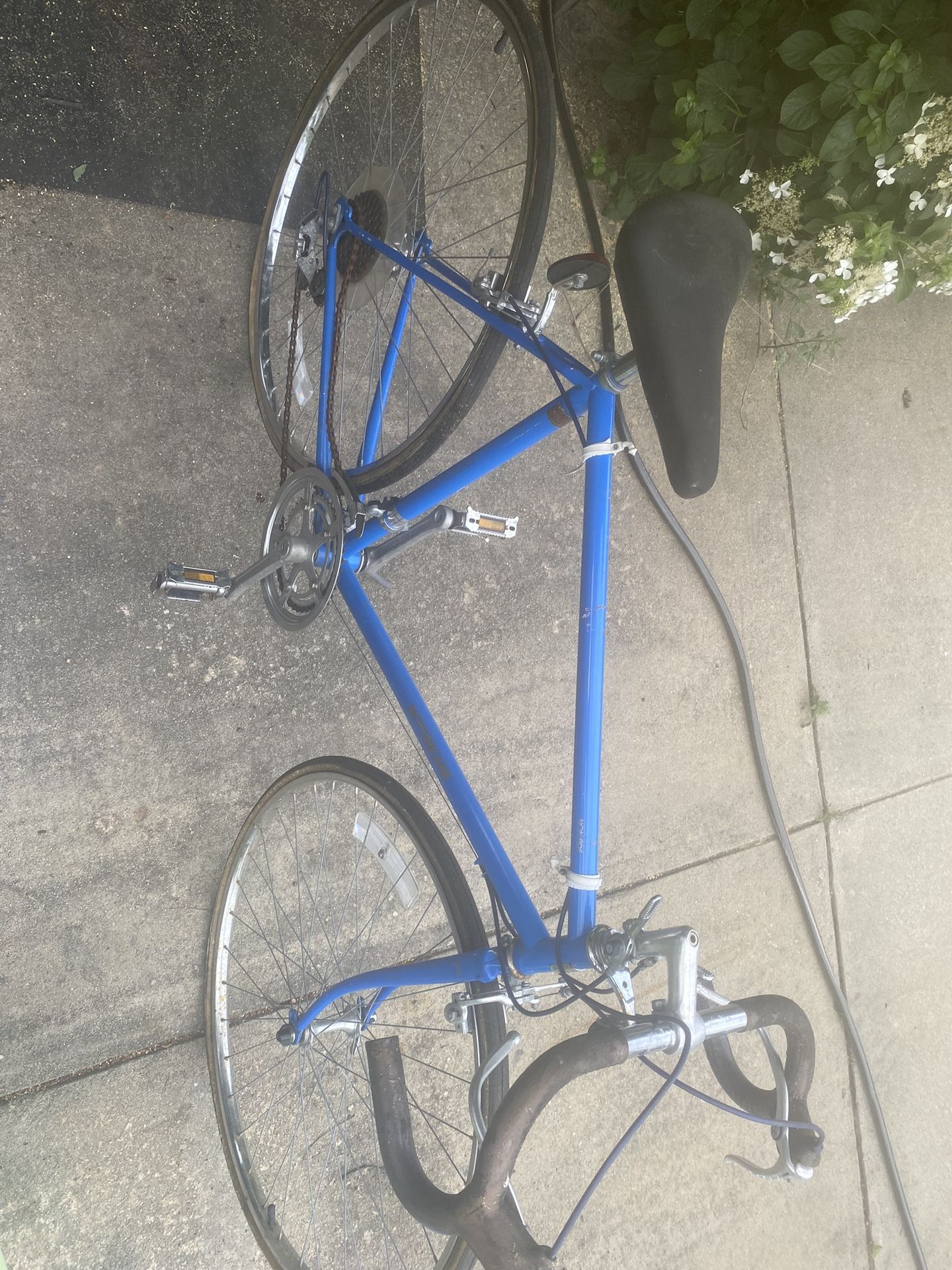 21 Speed Bicycle