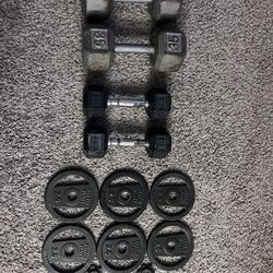 Set of Dumbbells And Kettle Plates