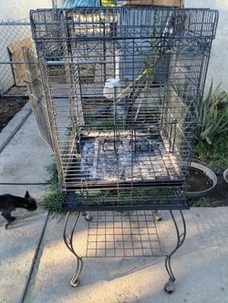 Big bird cage