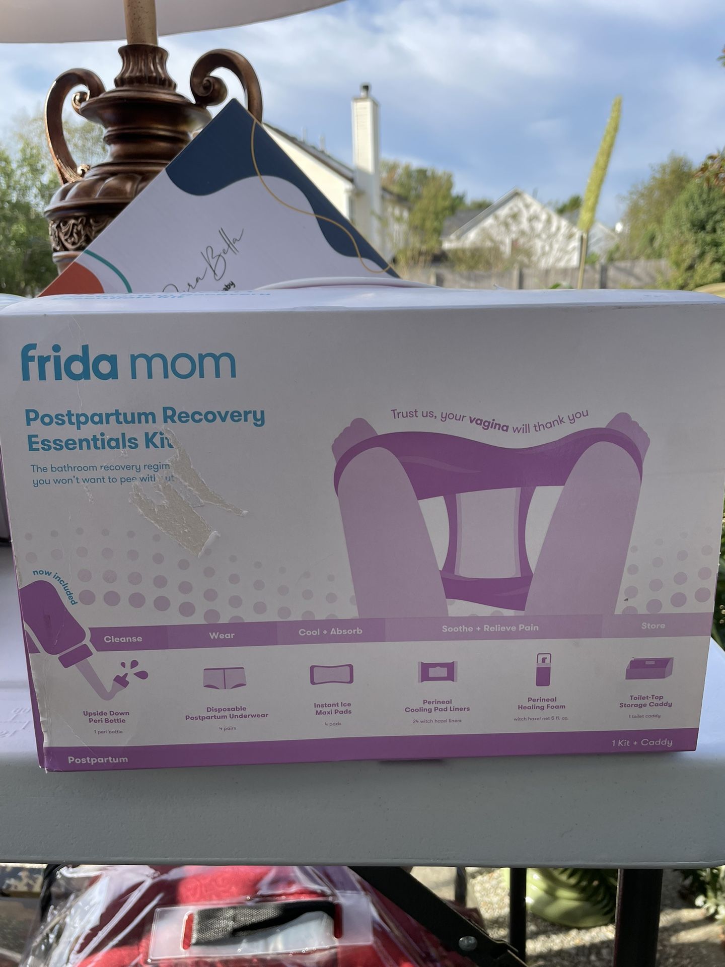 Frida Mom Postpartum Kit 