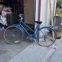 Free spirit Bike 1960s. 