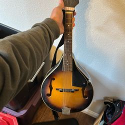 Roner Mandolin