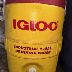 Igloo Water Cooler 