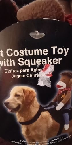 Pet costume