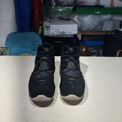 Nike LeBron 17