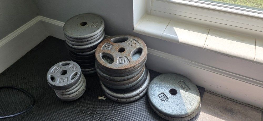 Standard barbell, with a hundred and eighty five pounds of weight