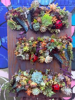 🌿 ONE-OF-A-KIND LIVING SUCCULENT WALL ART 🌿