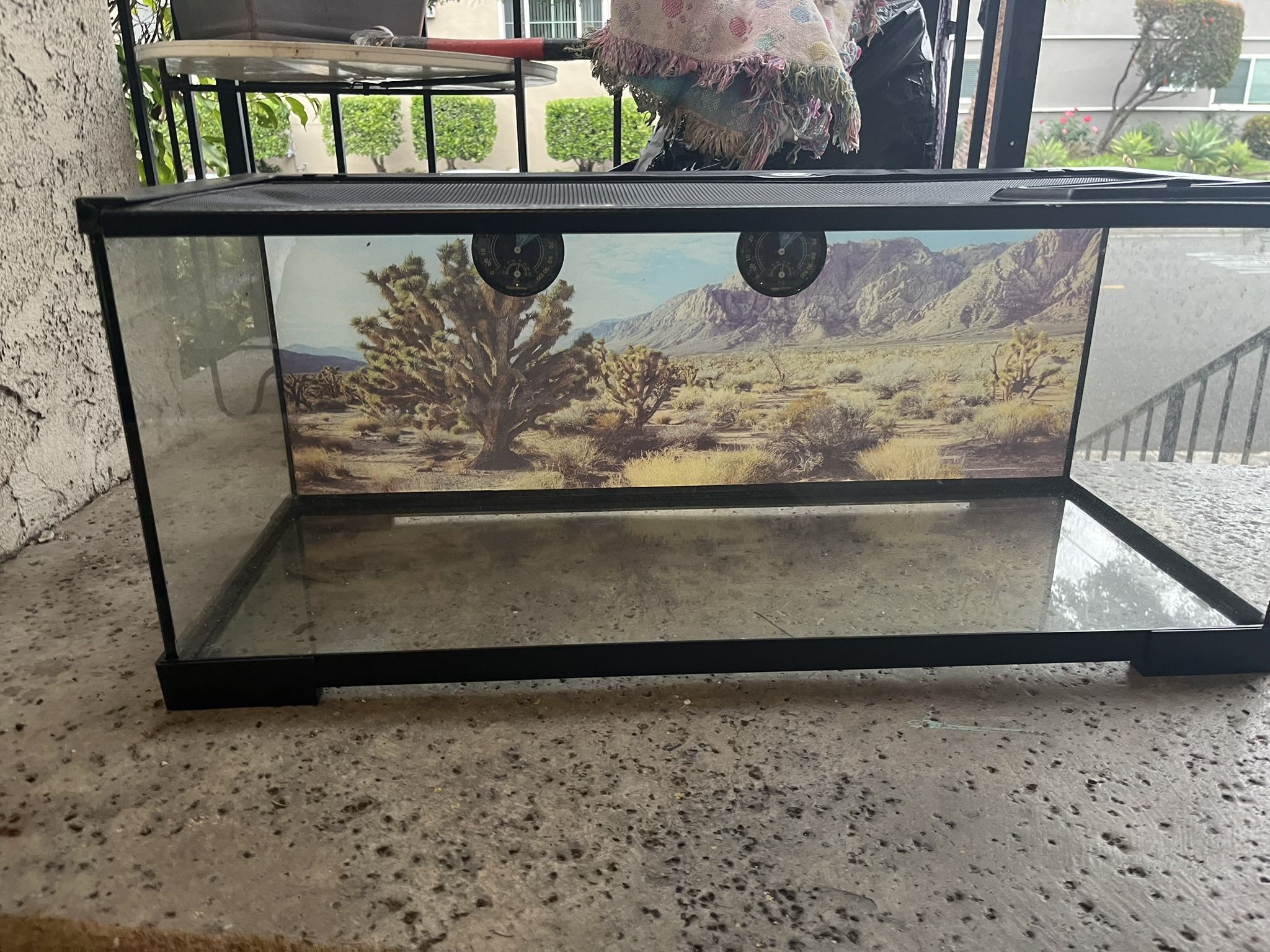Fish Tank - Snake Tank 