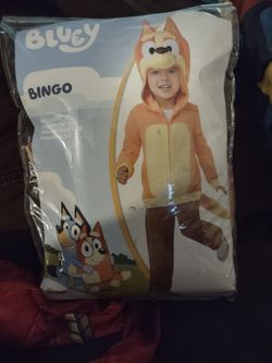 Bluey Bingo Halloween costume