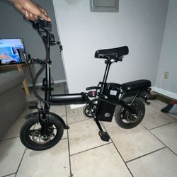 Mini Electric Bike 