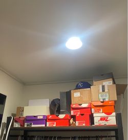 Nike LA Shoes Footwear For Sale See Profile