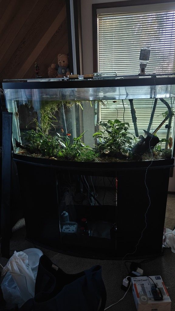 70 Gal Aquarium