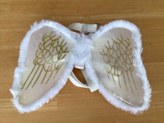 Trills and Chills Angel Wings Dog & Cat Costume Set
