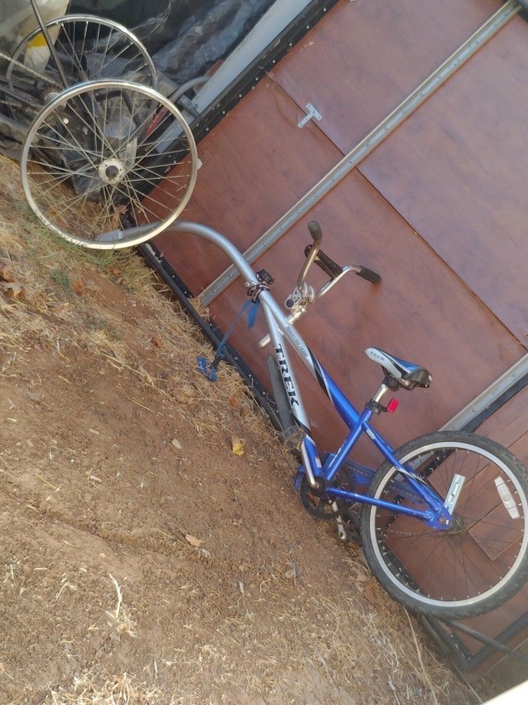 Trek Tag-Along-Bike For Kids Mountain Train 201