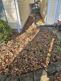 leaf removal