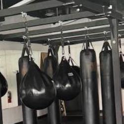 2 Aqua Punching Bags 