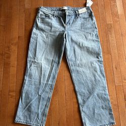 Hollister Jeans Womens 14 Regular Relaxed Straight Loose NWT