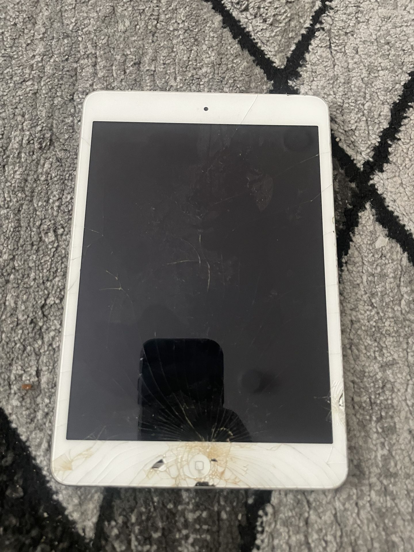 iPad Mini