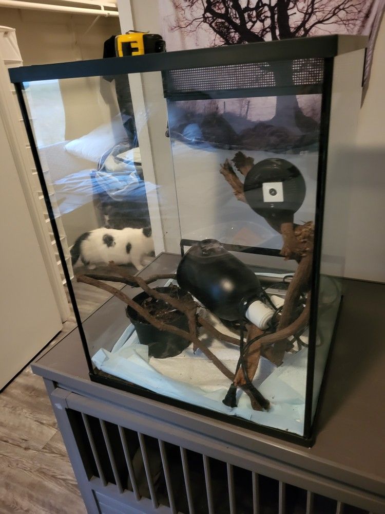 Terrarium