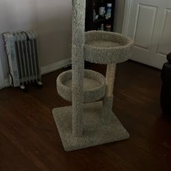Cat Tree 