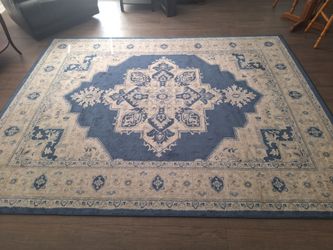 Nice clean blue design 8x10 rug. $60