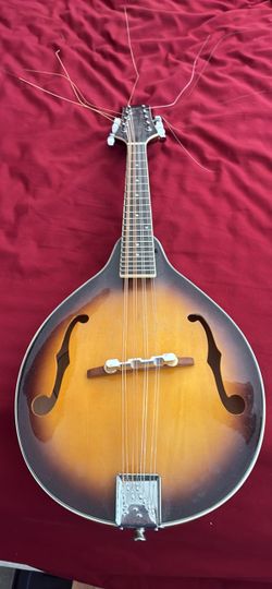 Mandolin