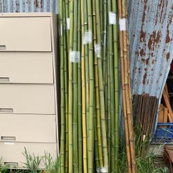 Bamboo Farm Poles 