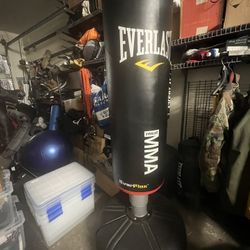 EVERLAST MMA Kickboxing Training Bag