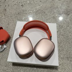 Apple Headphones 