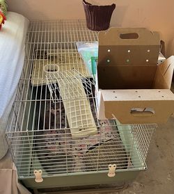 Guinea Pig Cage