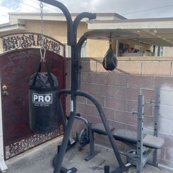 Bench Press And Weights And Punching Bag Stand