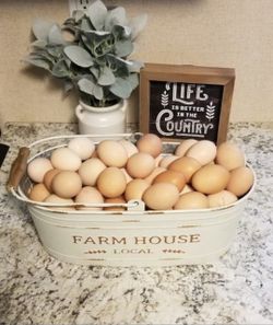 Fresh Farm 🥚
