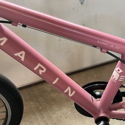Marin Donky Jr. 20" 6 Speed Kids Bike (pink)