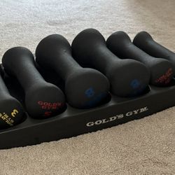 Gold’s Gym Dumbbell Set