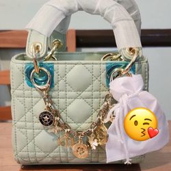 nice new bags $100