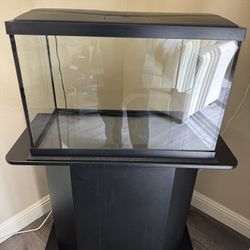 20 Gallon Aquarium Setup