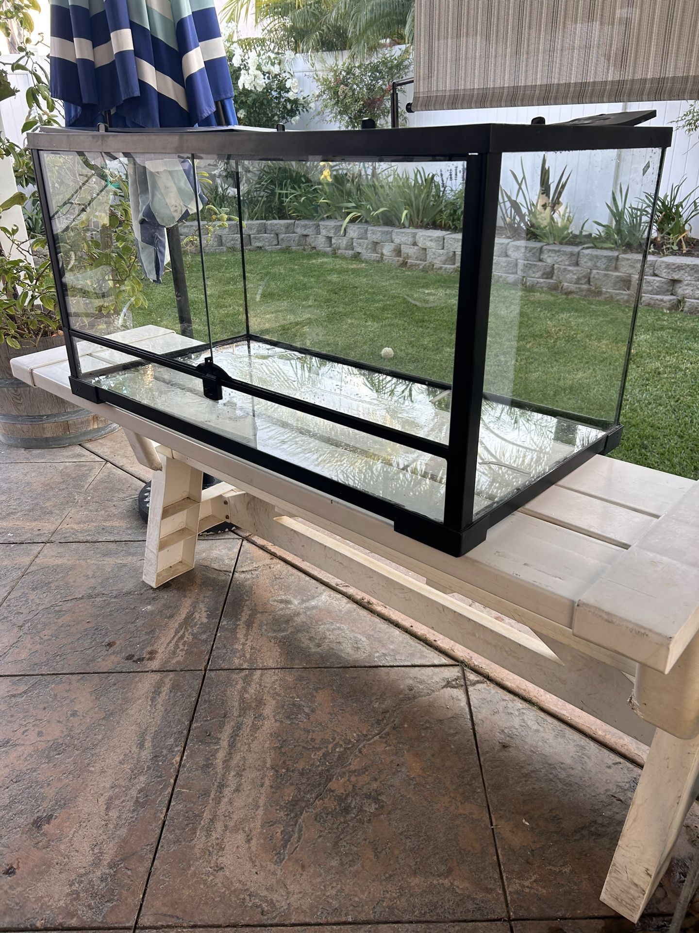 40 Gallon Tank