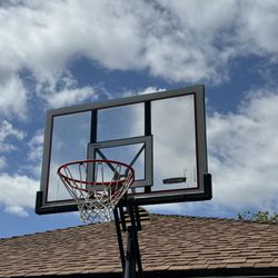 LifeTime Basketball Hoop