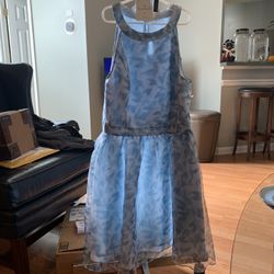 Cinderella Dress