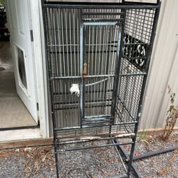 Bird Cage