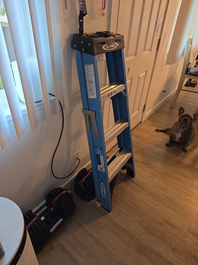 Werner 4ft Ladder