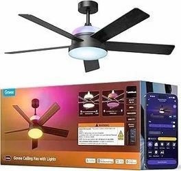 Ceiling fan