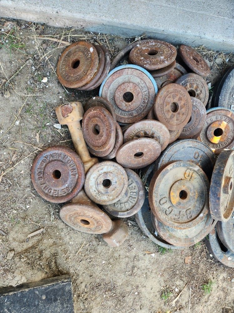 Gym Weights Cast Iron 50 Cents Per Pound