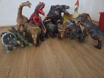 Medium Sized Dinosaur