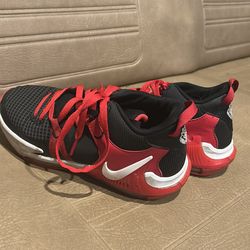 LeBron witness 7