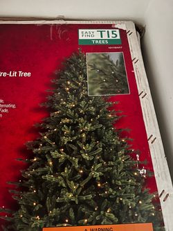 Willowbrook grand fir
