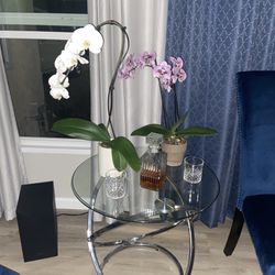 Glass Coffee table & 2 glass side tables